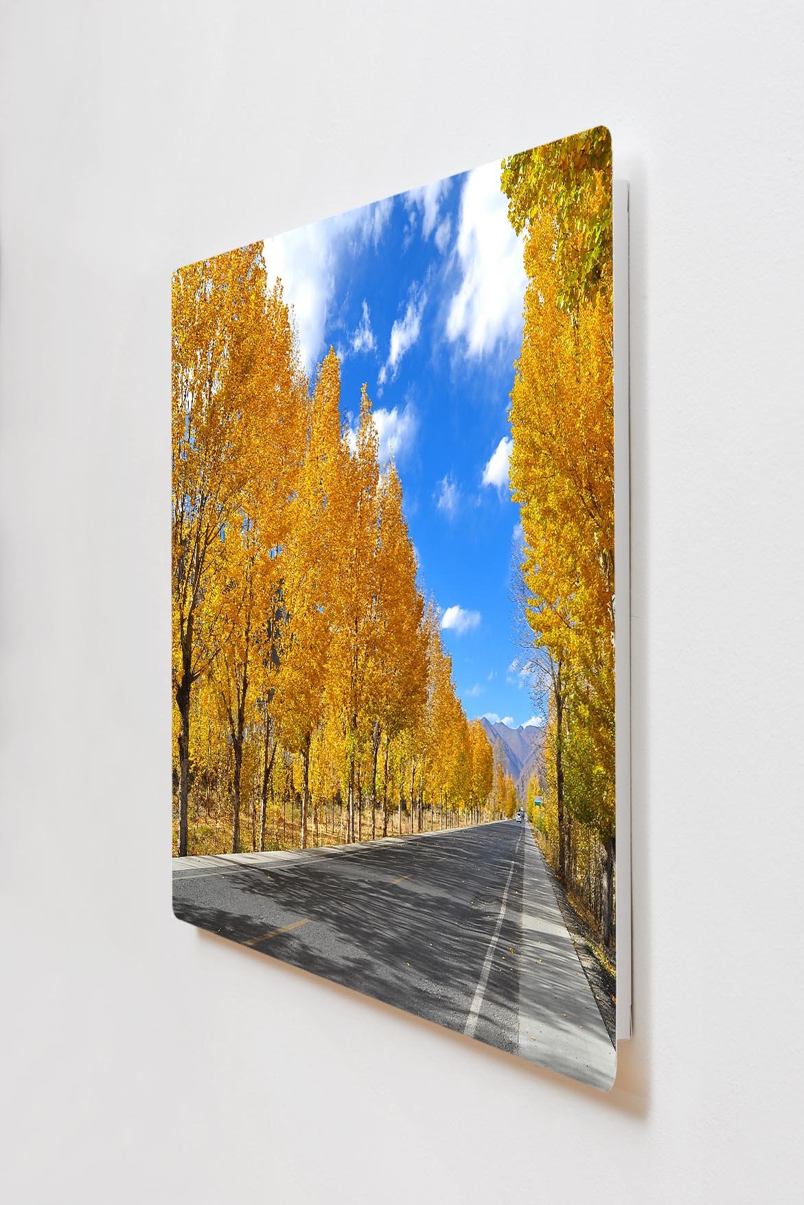 Kovový obraz 120x60 Light 3