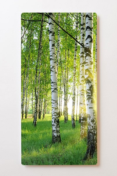 Kovový obraz  60x120 Light 7