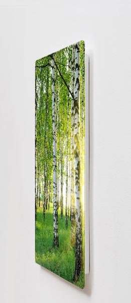 Kovový obraz 60x120 Light 7