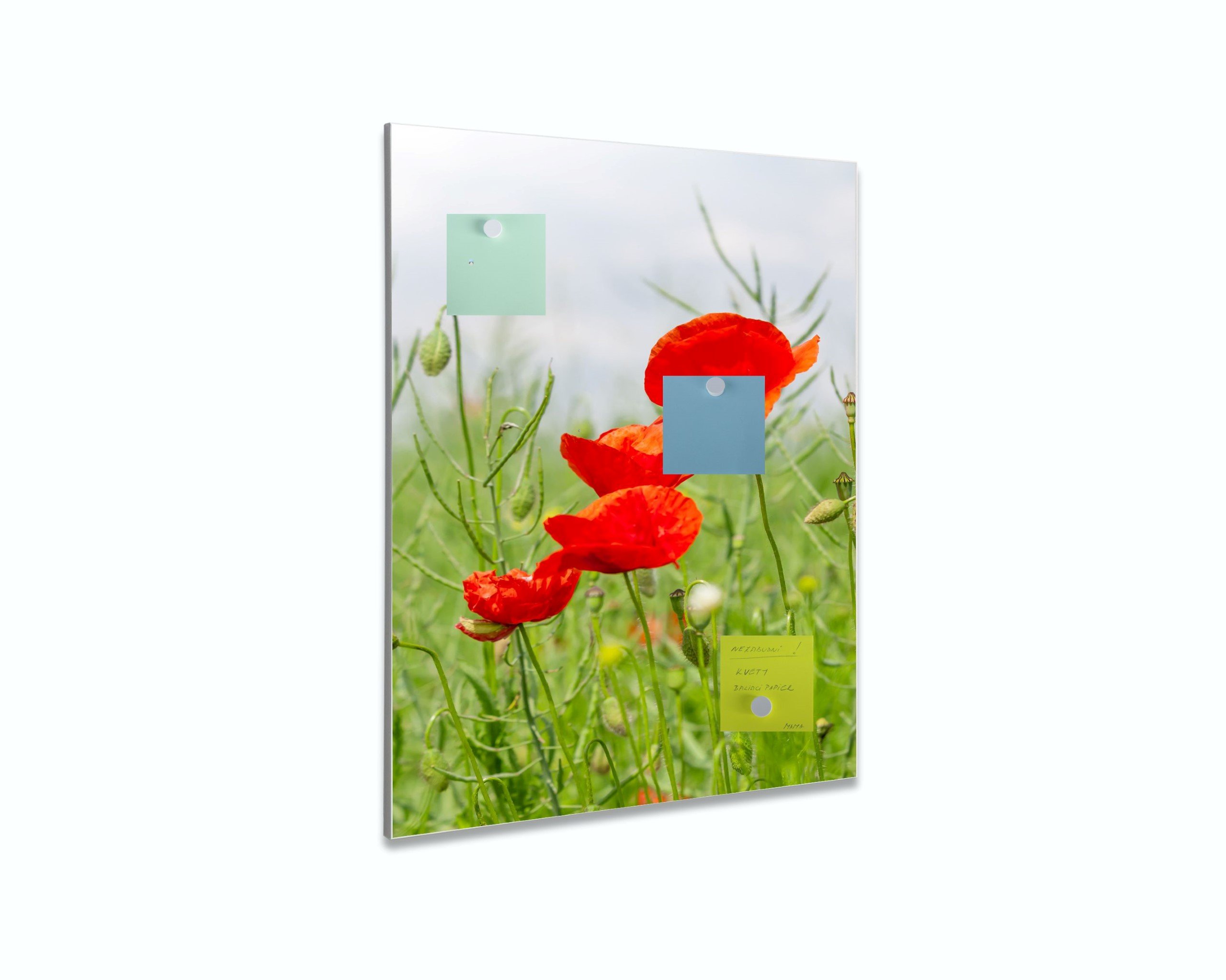 Magnetická tabuľa easy MTz - motív kvety 4